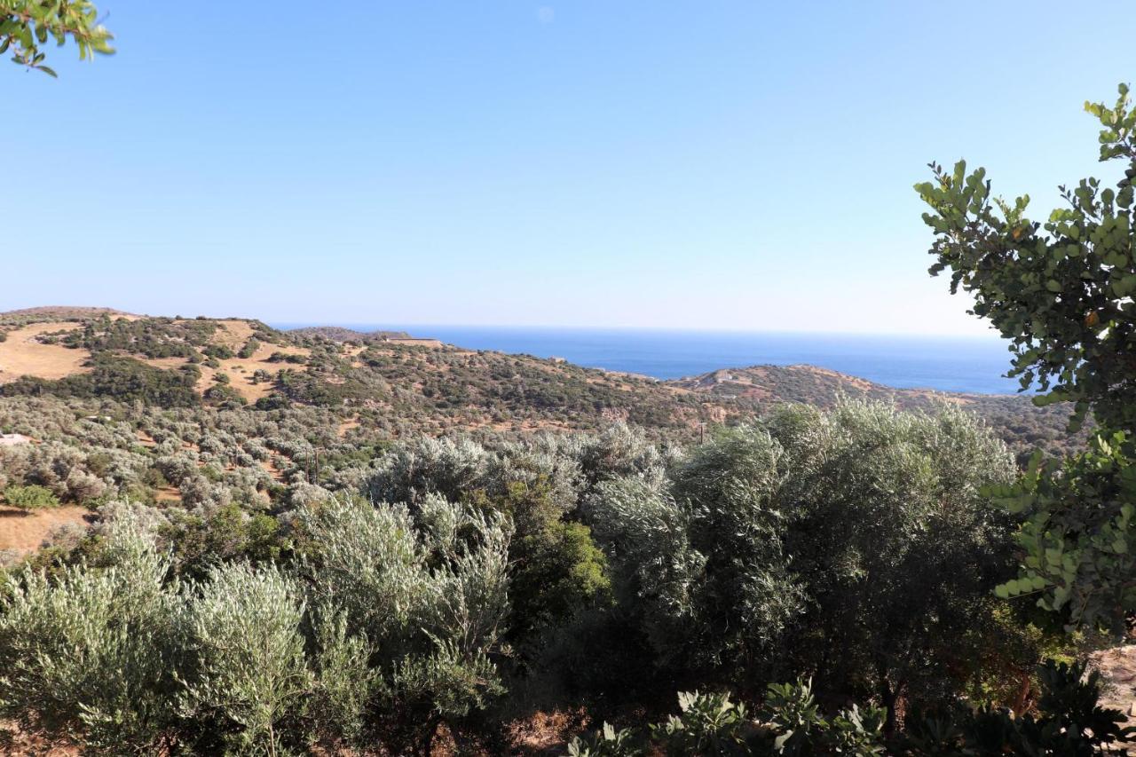Amathianis Villa Triopetra Bagian luar foto